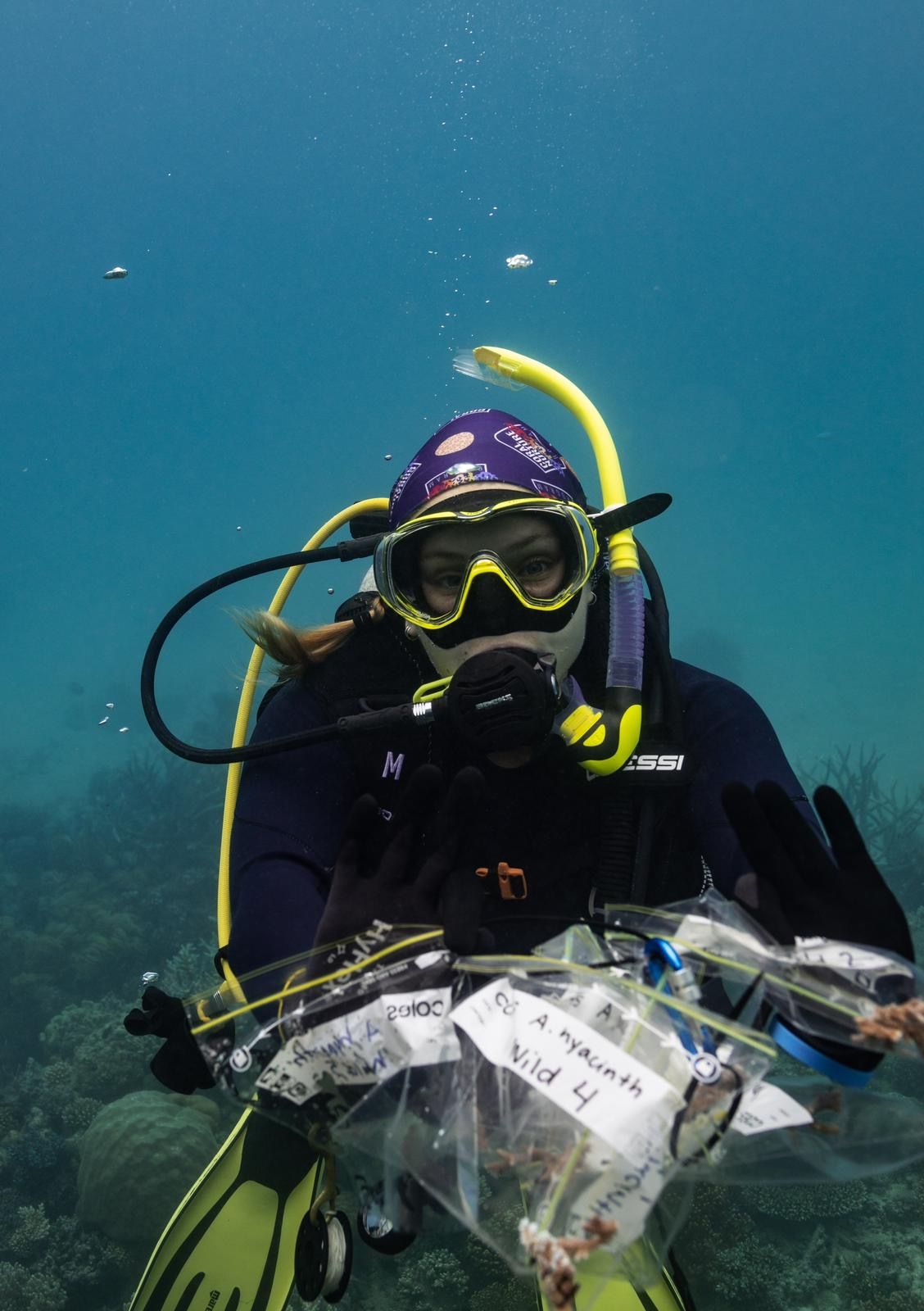 Nicole J. Dilernia scuba diving