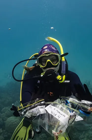 Nicole J. Dilernia scuba diving