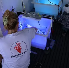 PhD research highlighted on UTS Science Instagram